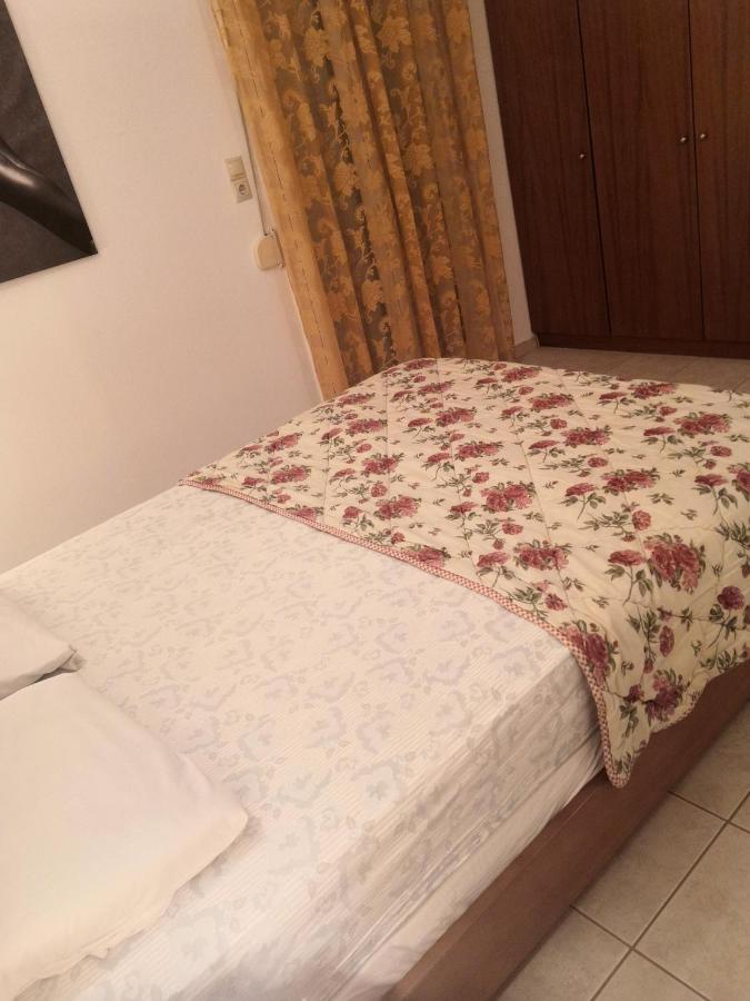 Zahner Studio Picídia Kültér fotó